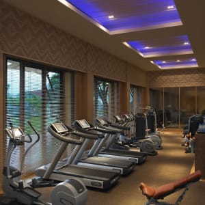 The Leela Palace in Udaipur:  Gym