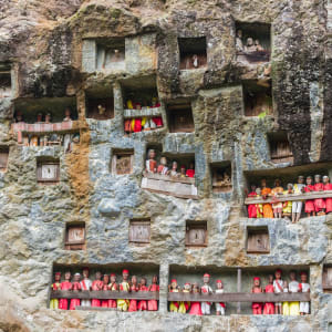 Sulawesi - au pays des Toraja de Makassar: Sulawesi Toraja Lemo Graves