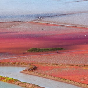Südkoreas unbekannter Westen ab Seoul: Suncheon Bay (Suncheon)