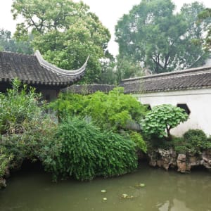 Charmantes cités-jardins et villes d'eau de Shanghai: Suzhou: Lions Garden 