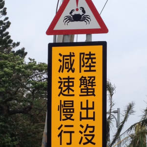 Taiwan – Grosse Mietwagenrundreise ab Taipei: Taiwan Street Signs