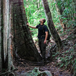 Parc national du Taman Negara de Kuala Lumpur: Taman Negara