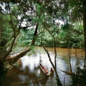 Parc national du Taman Negara de Kuala Lumpur: Taman Negara: by the river