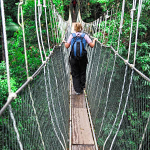 Parc national du Taman Negara de Kuala Lumpur: Taman Negara: Canopy bridge