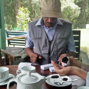 Eine Reise jenseits der Teefelder in Nuwara Eliya: Tea Tasting