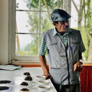 Eine Reise jenseits der Teefelder in Nuwara Eliya: Tea Tasting Session