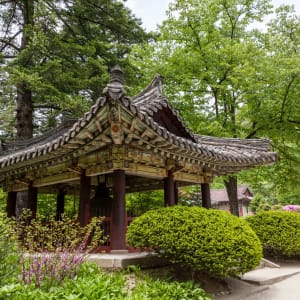 Grosse Nordkorea Reise ab Pyongyang: Temple in Pyongyang