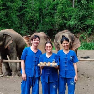 Expérience avec les éléphants à Chiang Mai: Thai Elephant Home
