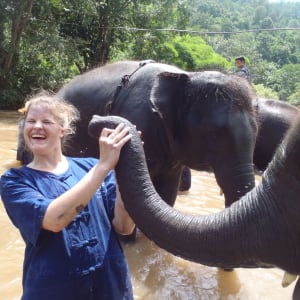 Expérience avec les éléphants à Chiang Mai: Thai Elephant Home