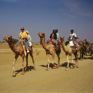 Romantisme des palais et magie du désert de Jodhpur: Thar Desert