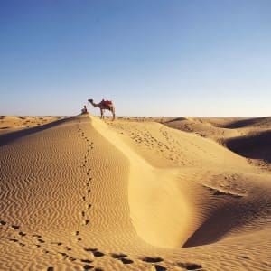 Romantisme des palais et magie du désert de Jodhpur: Thar Desert