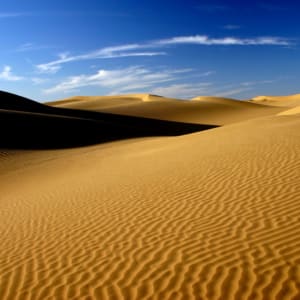 Romantisme des palais et magie du désert de Jodhpur: Thar Desert