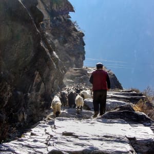 Découverte active du Yunnan de Kunming: Tiger Leaping Gorge