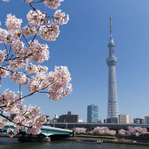 Gruppenreise «Höhepunkte Südkoreas und Japans» ab Seoul: Tokyo Sumida River