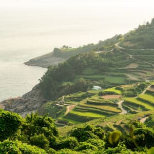 Mietwagen Rundreise «Südliches Korea» ab Seoul: Traditional terraced rice paddies in Namhae