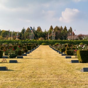 Busan im Wandel der Zeit: UN Memorial Cementery Busan