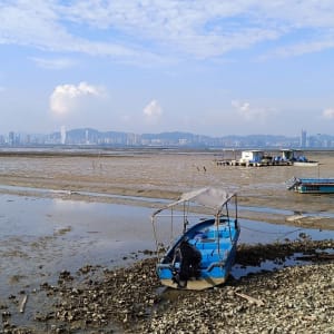 Authentische «New Territories» in Hong Kong: View over Deep Bay to Shenzhen