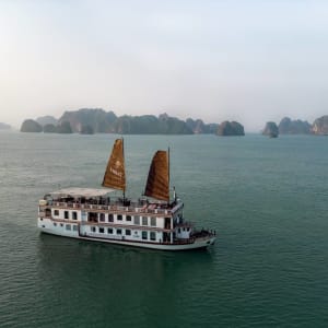 Croisière dans la baie de Bai Tu Long avec « Violet » de Hanoi: Violet cruises through Bai Tu Long Bay