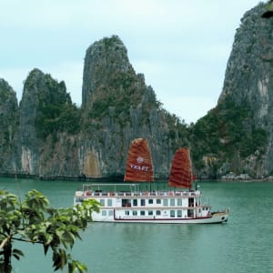 Croisière dans la baie de Bai Tu Long avec « Violet » de Hanoi: Violet in stunning scenerie of Bai Tu Long Bay