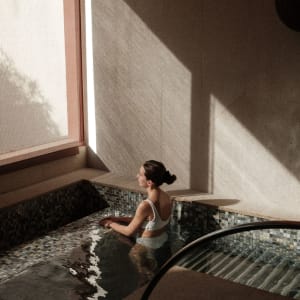 Capella Singapore à Singapour:  Auriga Spa Vitality Pool