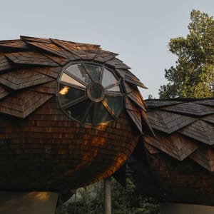 Mandai Rainforest Resort by Banyan Tree in Singapur:  Banyan Tree Spa_Wellness Pods