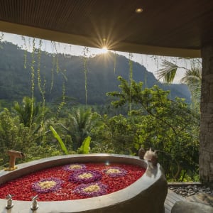 Wapa di Ume Sidemen in Ostbali:  Flower Bath Tub