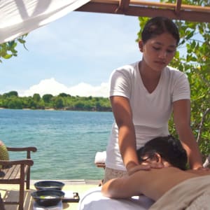 The Menjangan in Nordbali:  Mangrove Spa