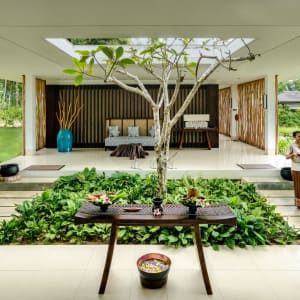 The Residence Bintan:  Spa