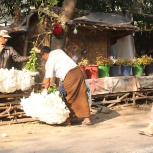 Vie authentique le long de la rivière Dohtawaddy à Mandalay: Yadanar bamboo & sandalwood farm