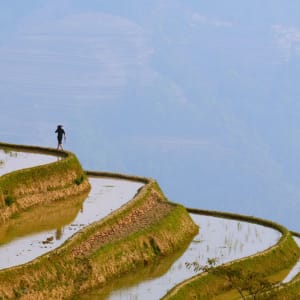 Yunnans Süden - Landschaften wie gemalt ab Kunming: Yuanyang rice terraces