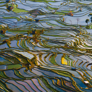 Yunnans Süden - Landschaften wie gemalt ab Kunming: Yuanyang rice terraces