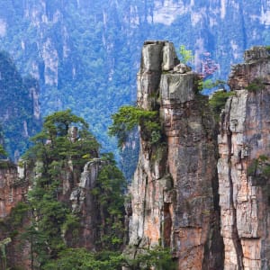 Féerie du sud de la Chine de Shanghai: Zhangjiajie National Forest Park