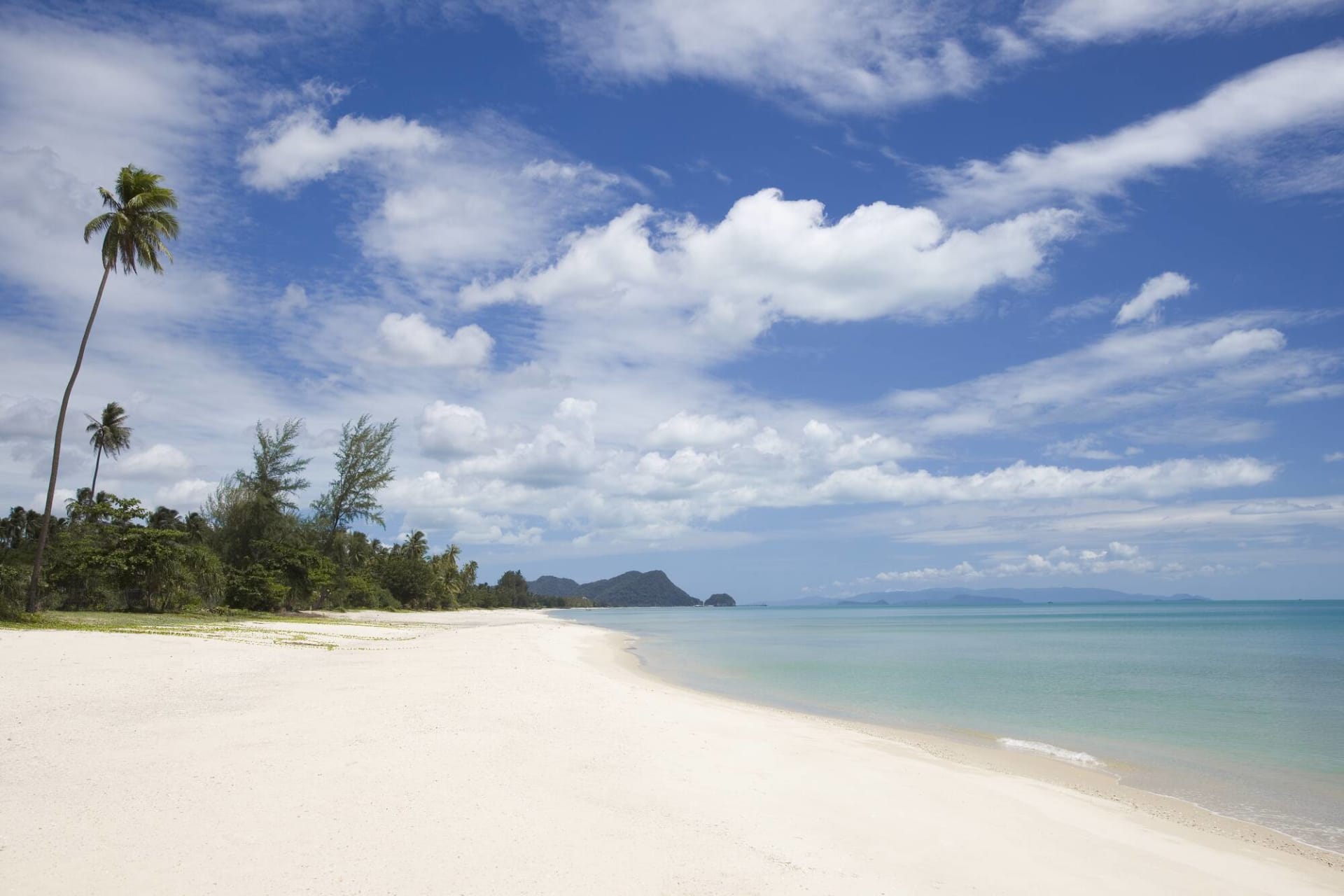 beach: Beach