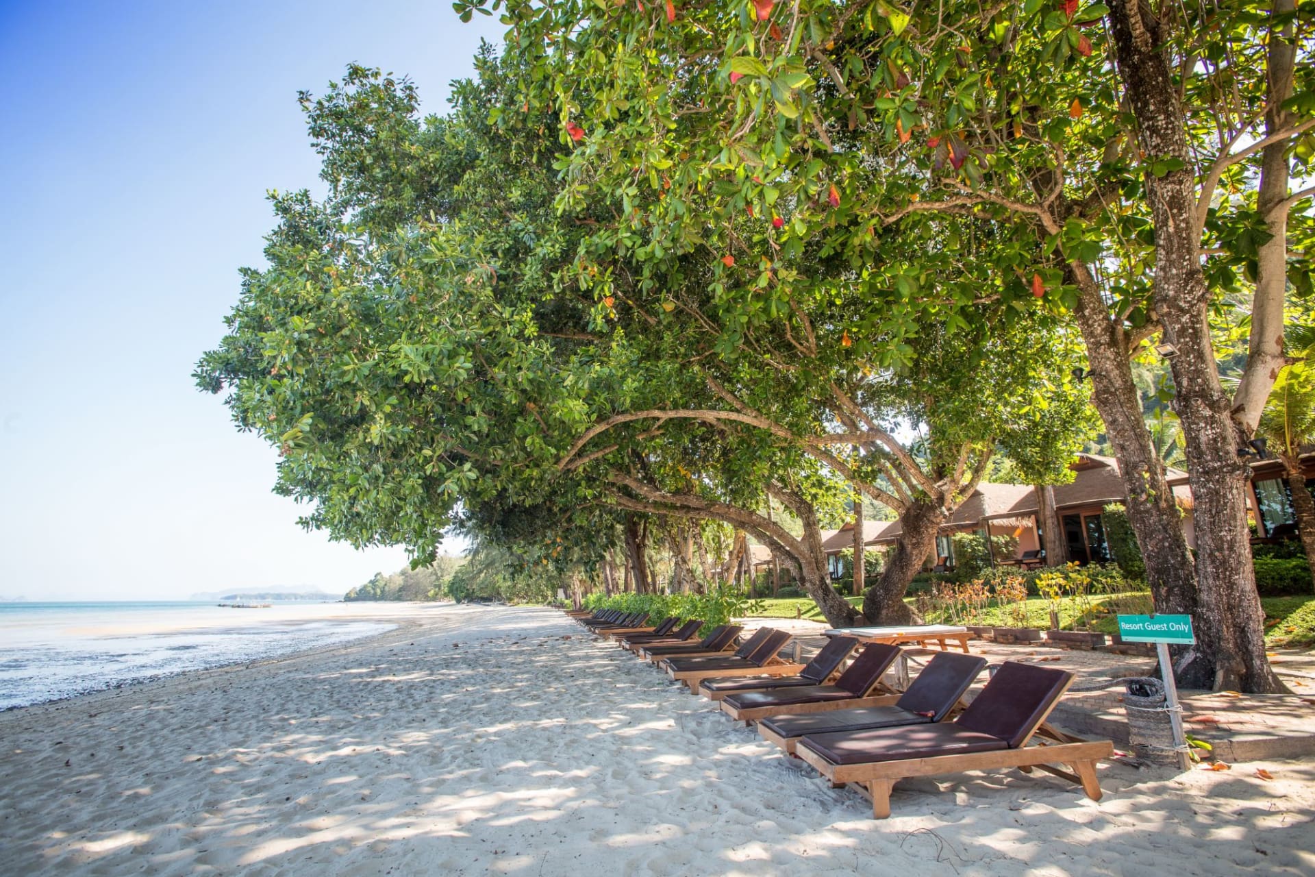 beach: Beach View