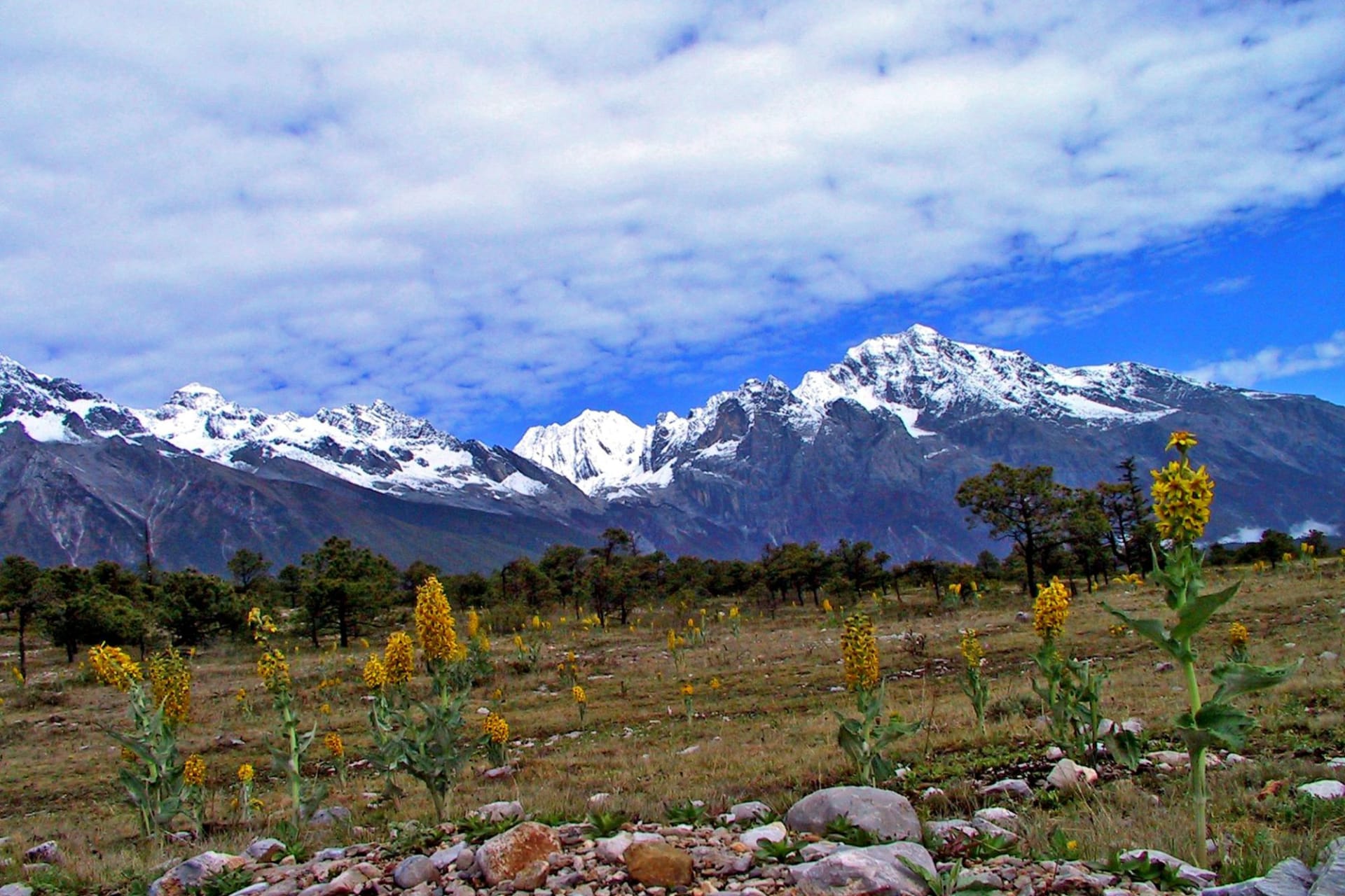 Lijiang: Snow Mountain