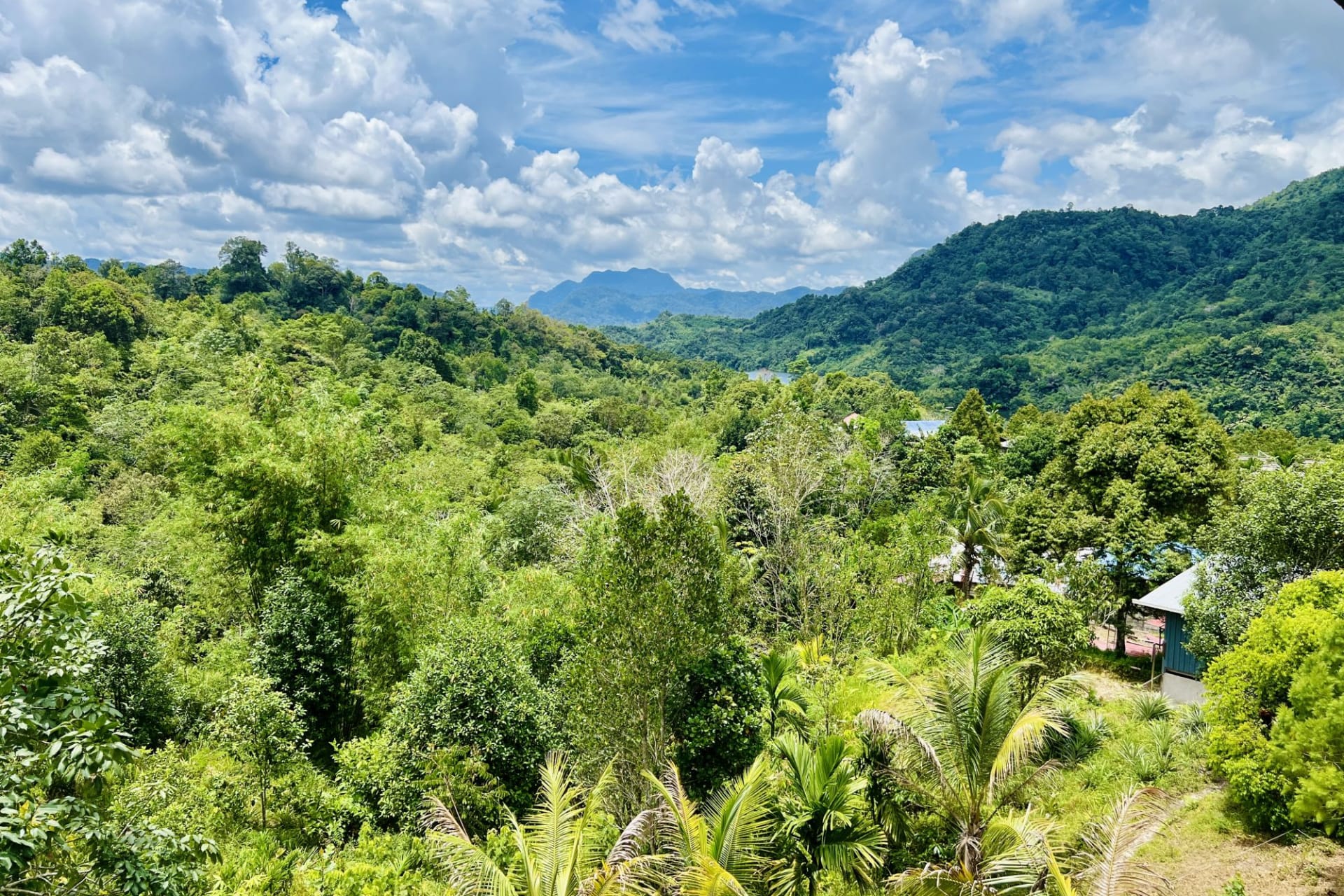 location: View from local guest house