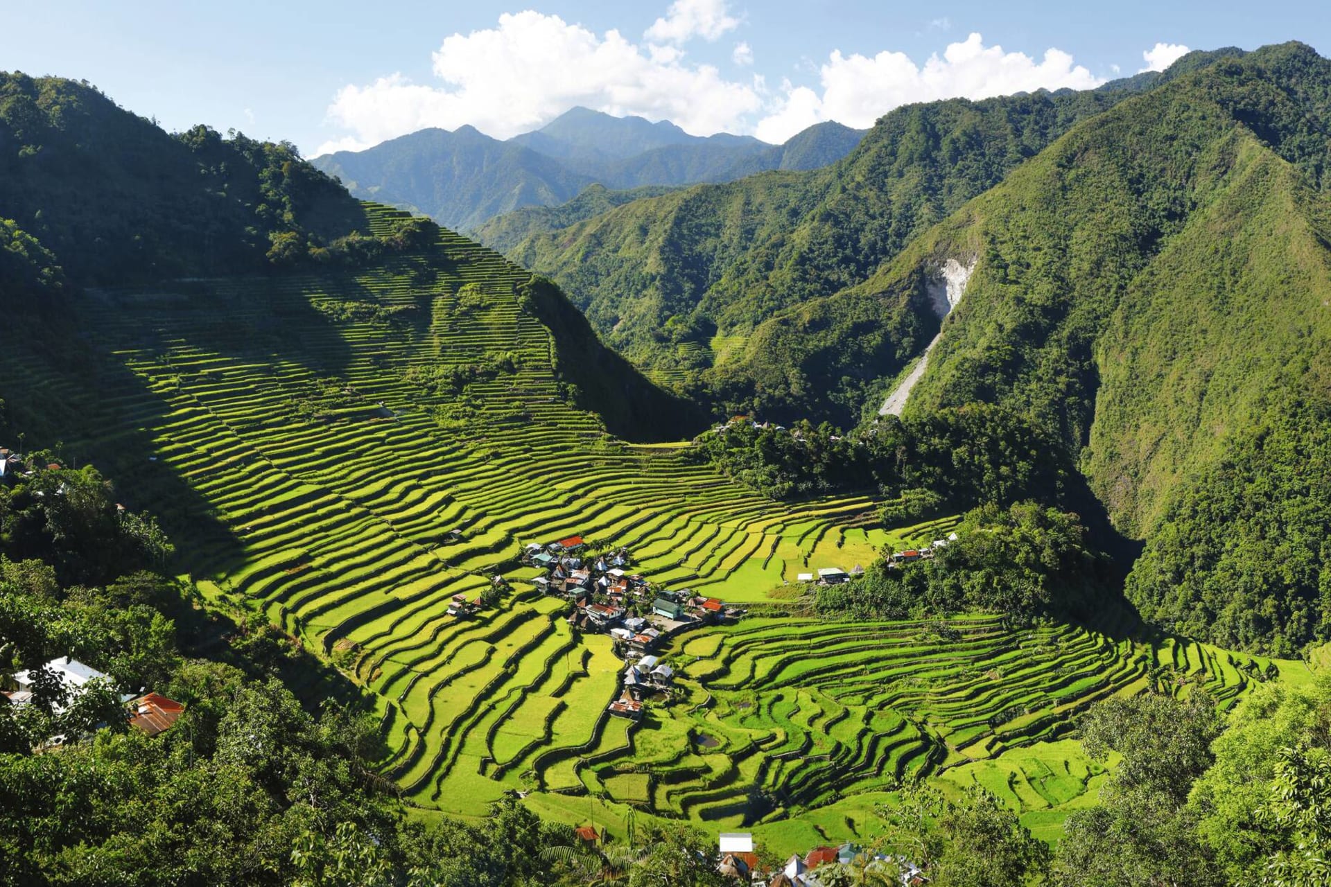 Luzon - rice field terraces in the area of Batad