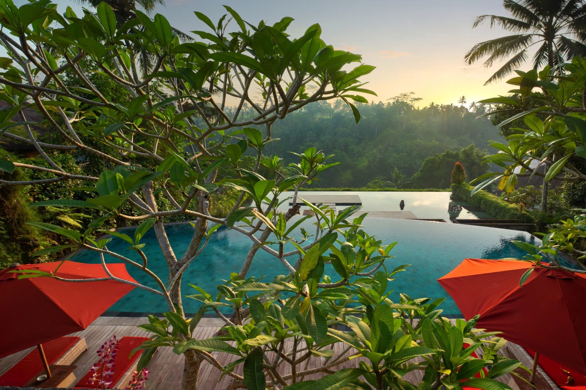 pool: Main Pool & Infinity Pool