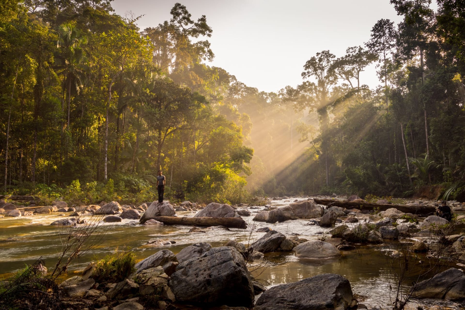 Taman Negara Morning 