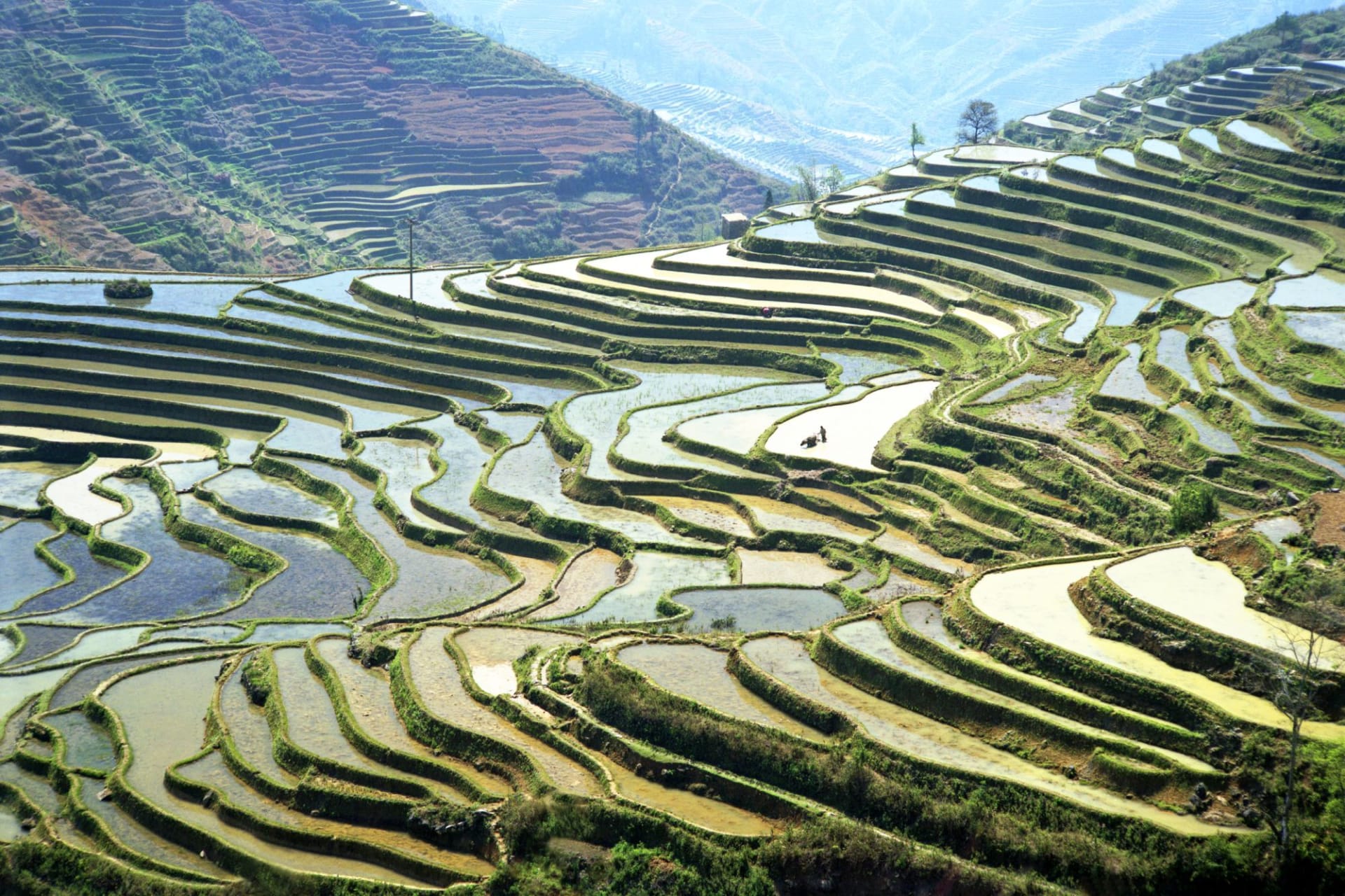 Yuanyang rice terraces