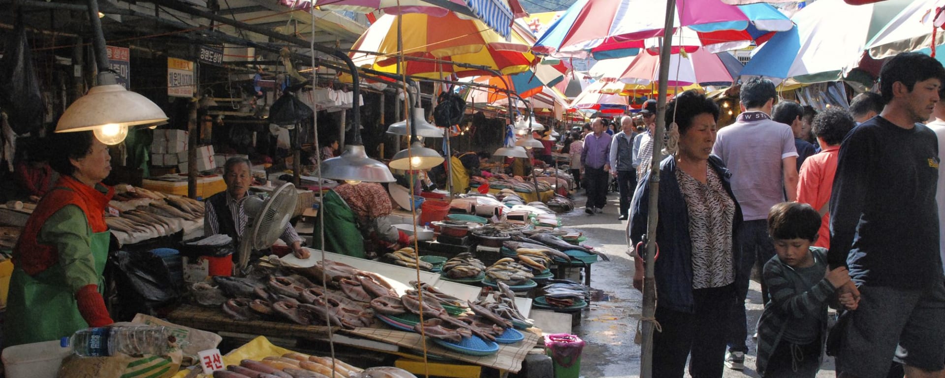 Stadtrundfahrt Busan privat: Busan: Jagalchi Fish Market