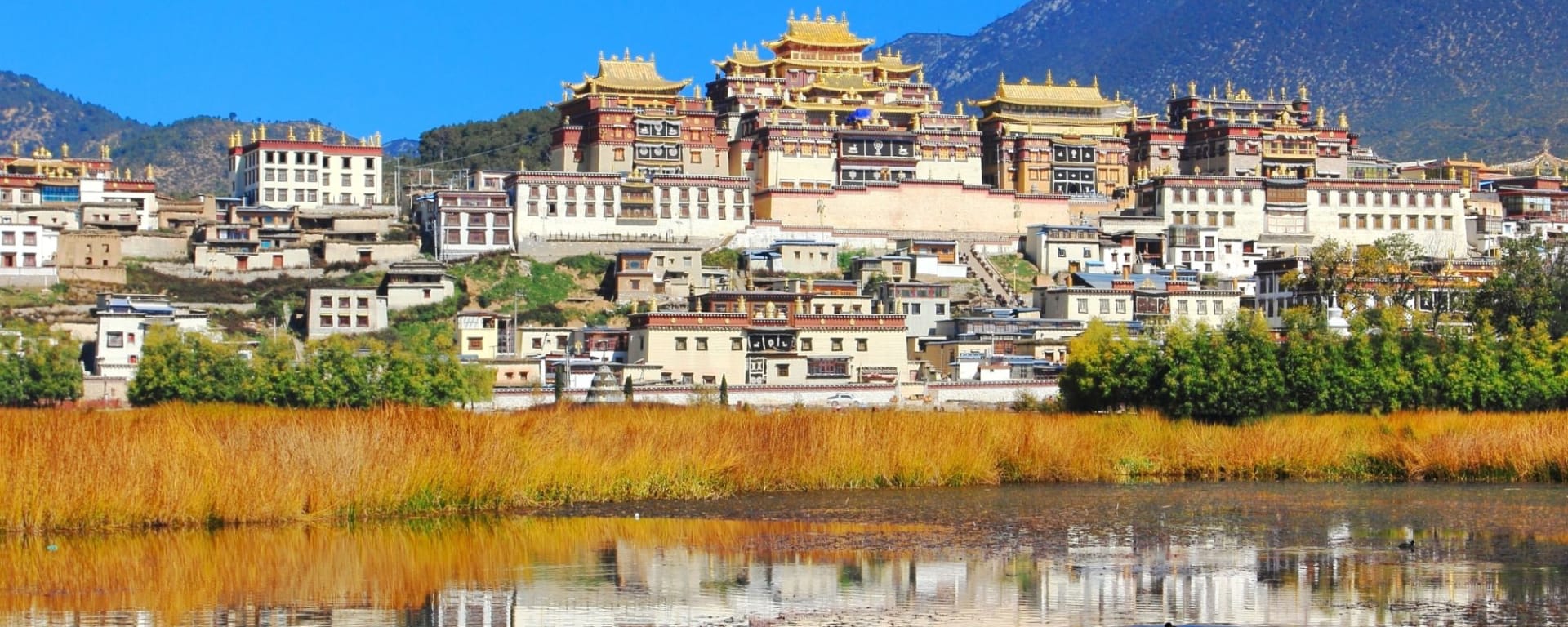 Les hauts lieux du Yunnan de Kunming: Ganden Sumtseling Monastery Zhongdian