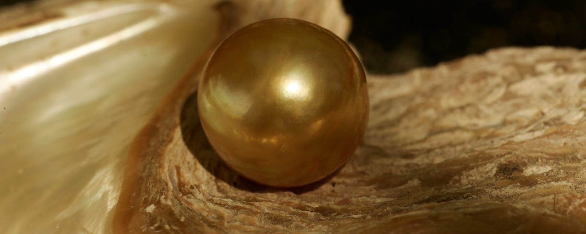 Traumhaftes Palawan: Golden Pearl