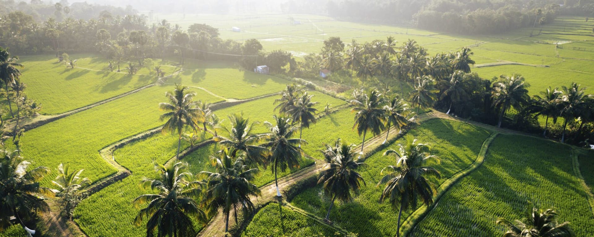 Kairali - The Ayurvedic Healing Village à Coimbatore:  Aerial View