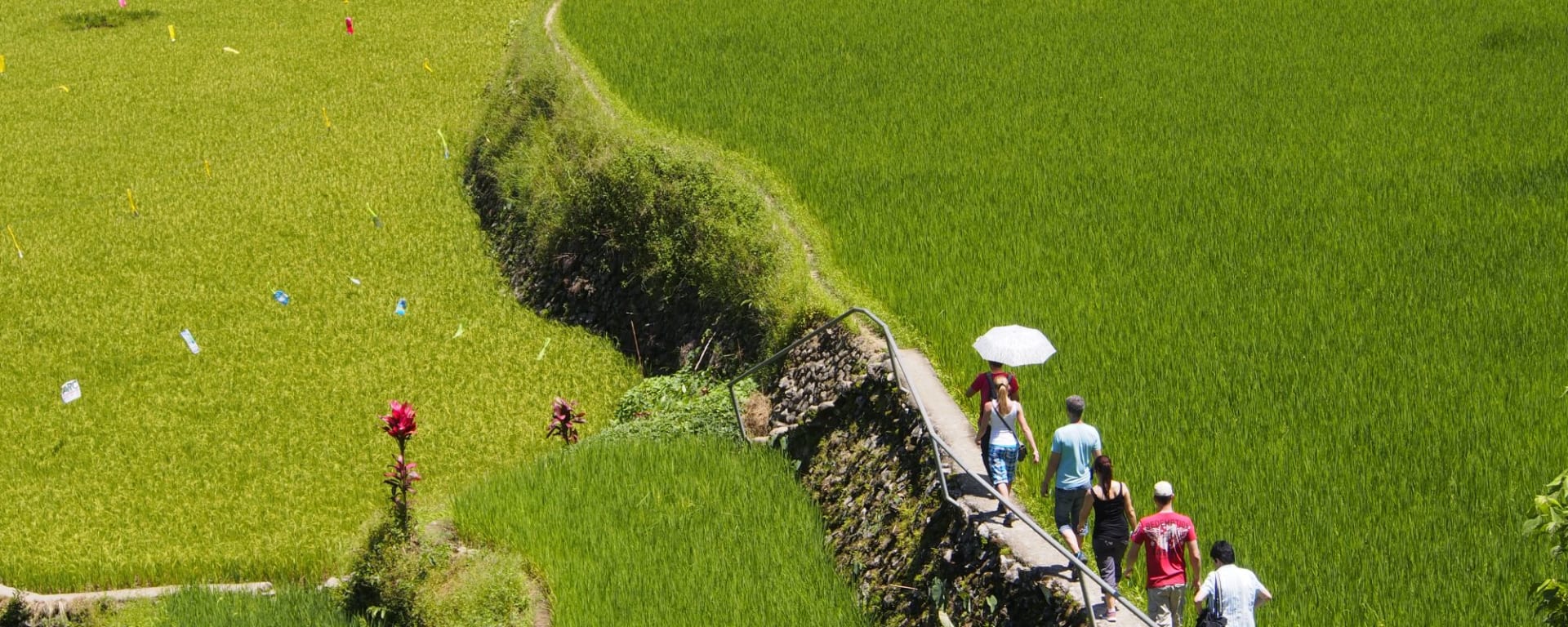 Circuit au nord de Luzon incluant une randonnée à Batad de Manille: Luzon Banaue trekking through paddy fields