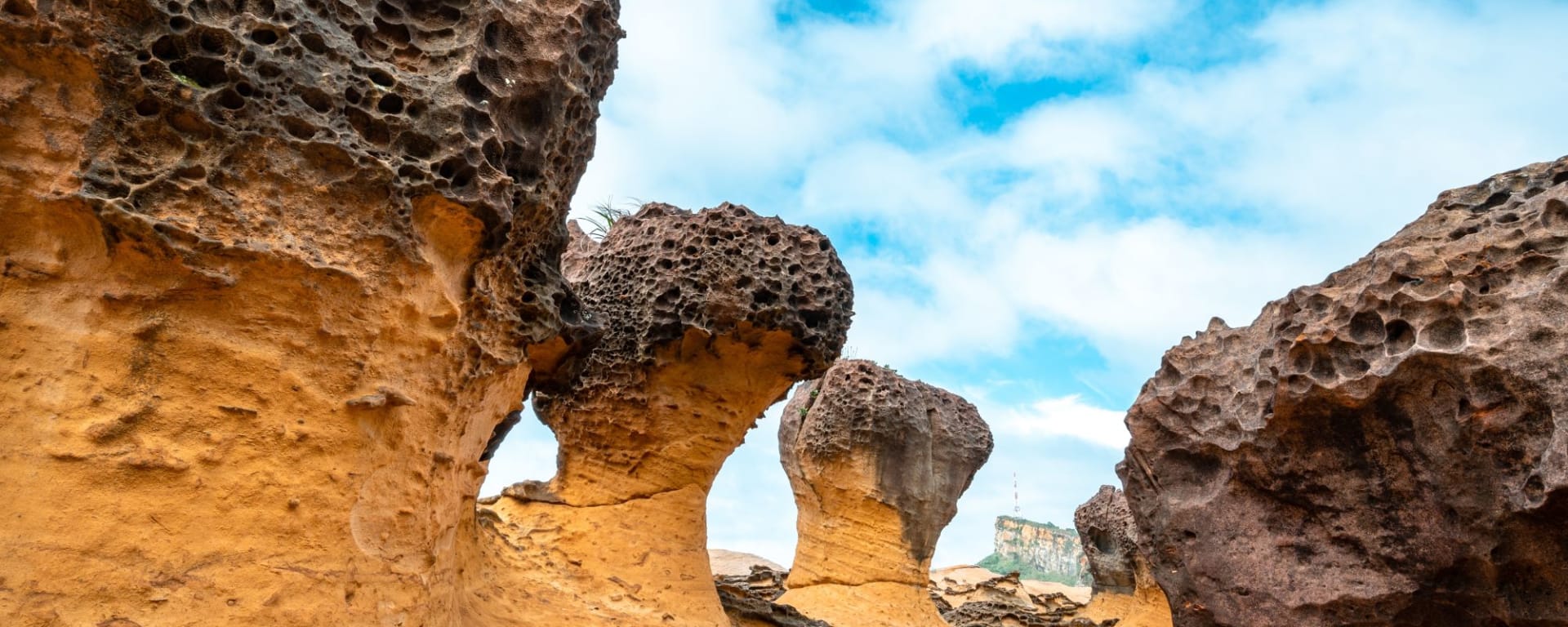Natur & Kultur im Norden in Taipei: Yehliu Geopark