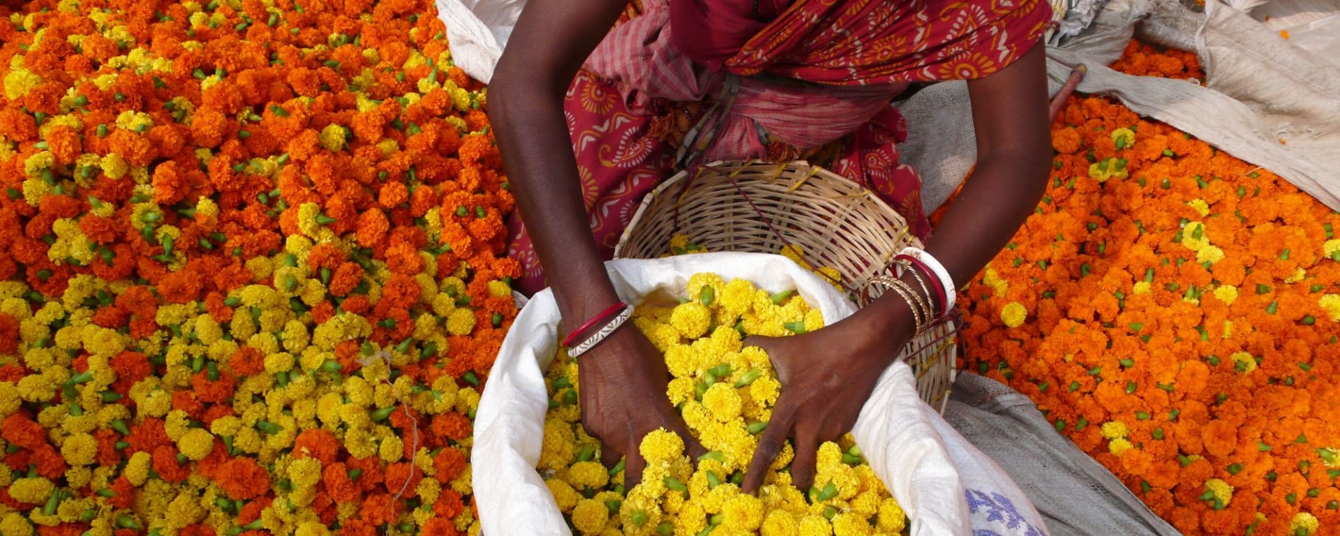 Good Morning Mumbai: India Flower Market