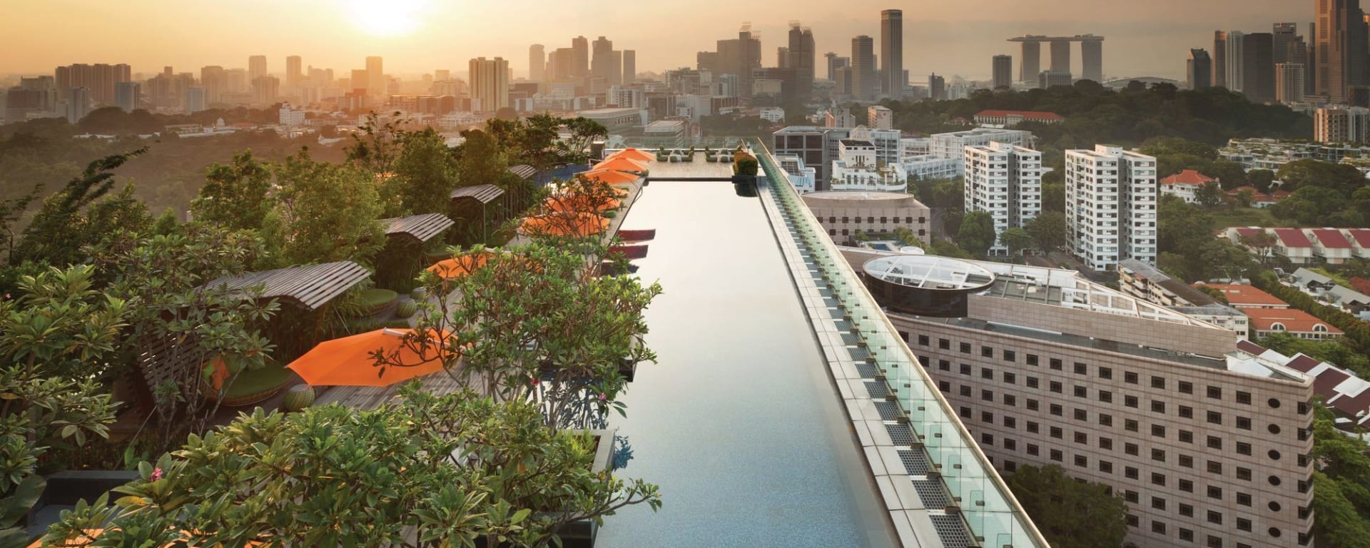 Jen Orchardgateway in Singapur:  Rooftop Infinity Pool