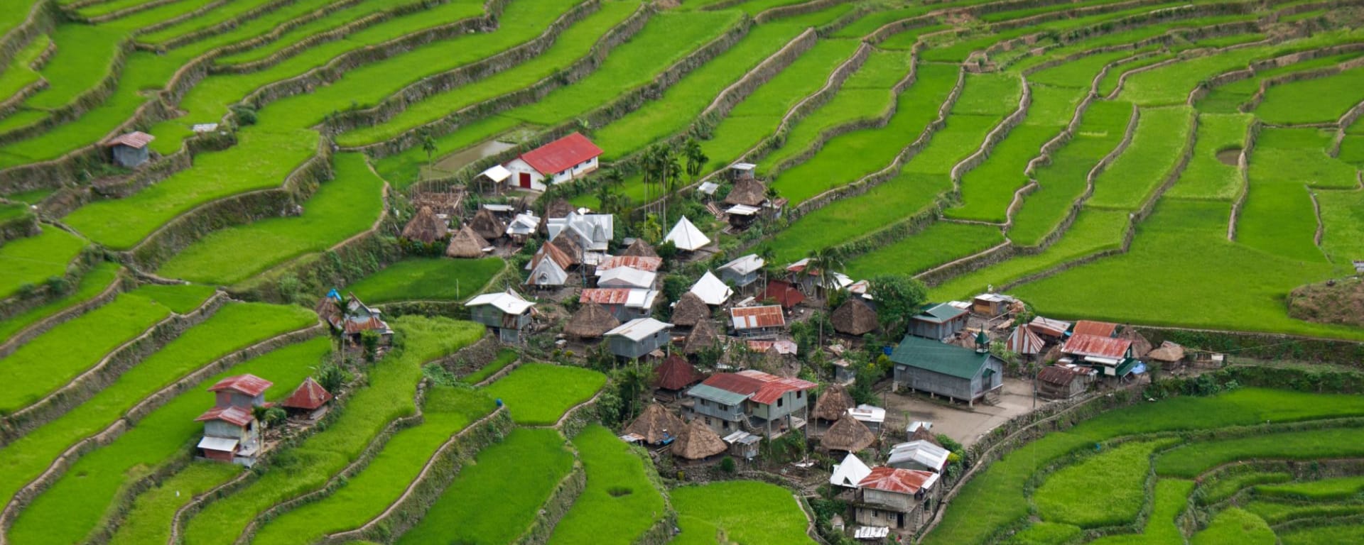 Circuit au nord de Luzon de Manille: Luzon Banaue Batad Rice terraces