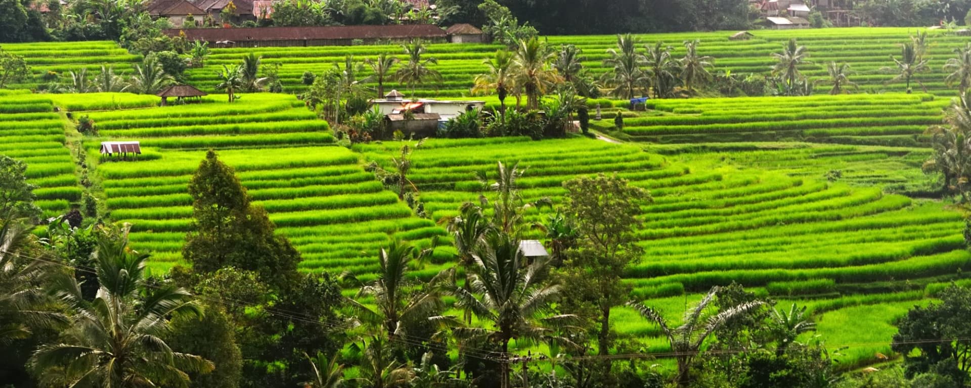 Im Herzen Balis in Südbali: Bali Jatiluwih Rice terraces